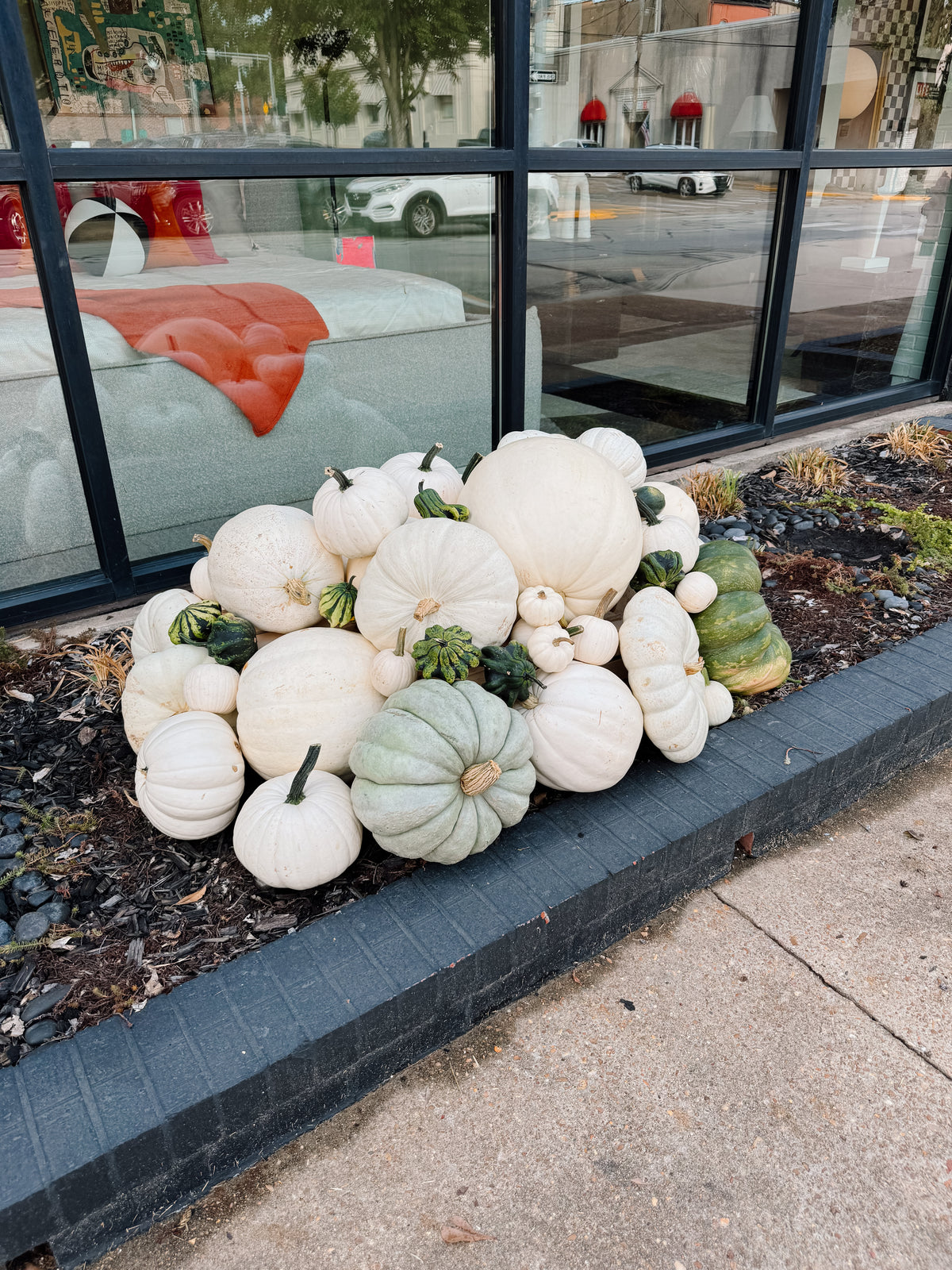 Grand Prize Pumpkin Package