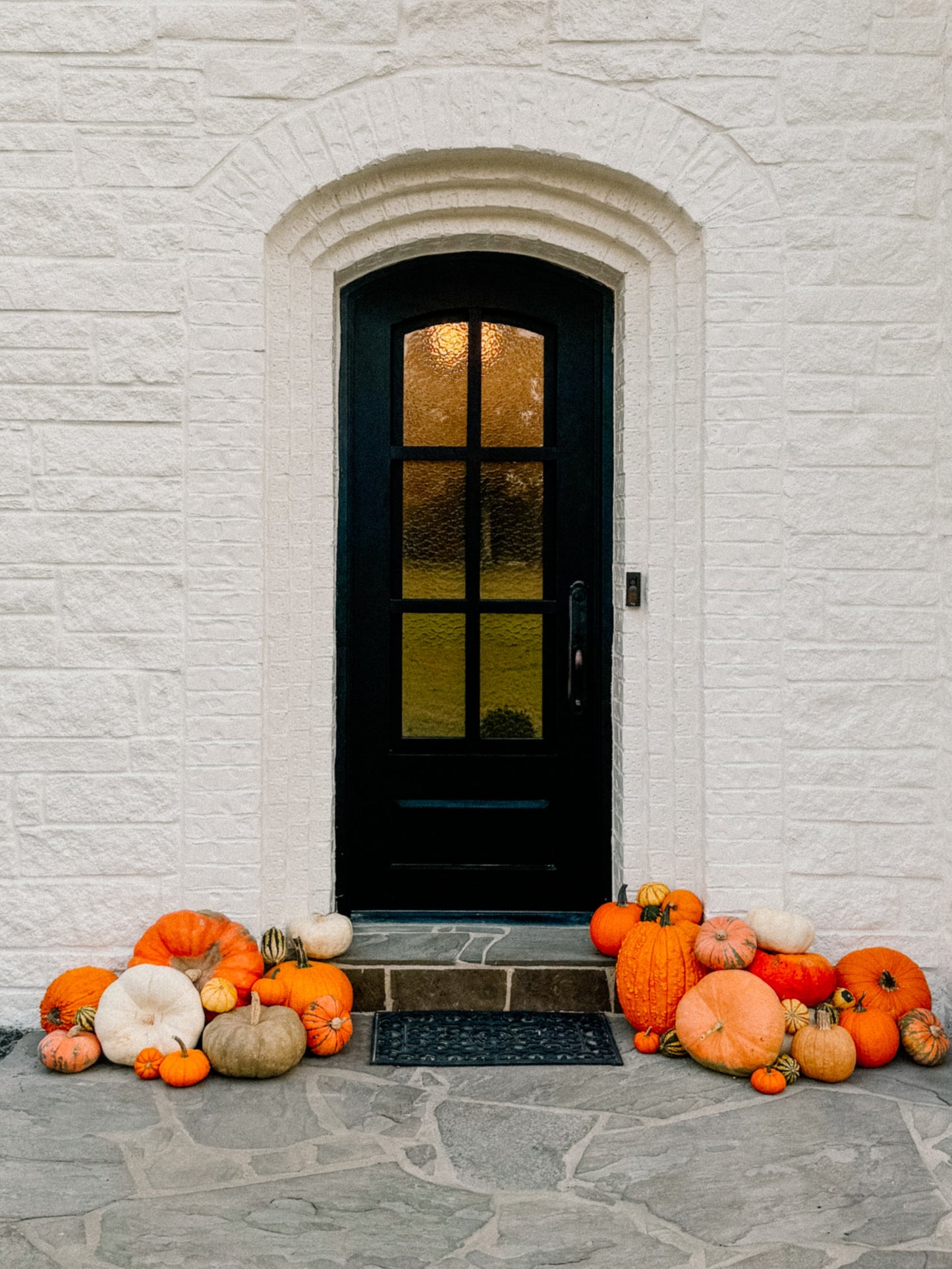 Mini Pumpkin Package