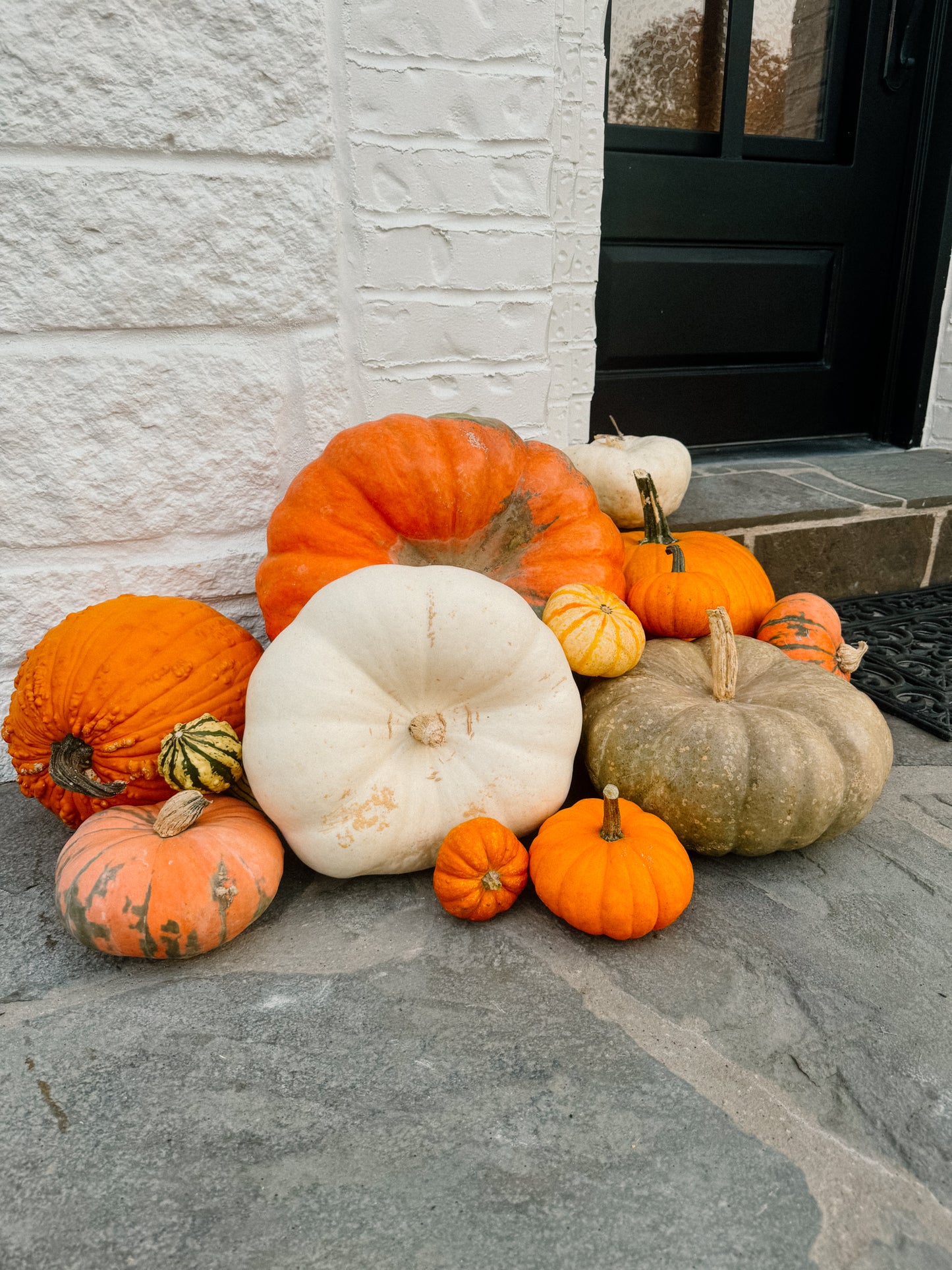 Mini Pumpkin Package