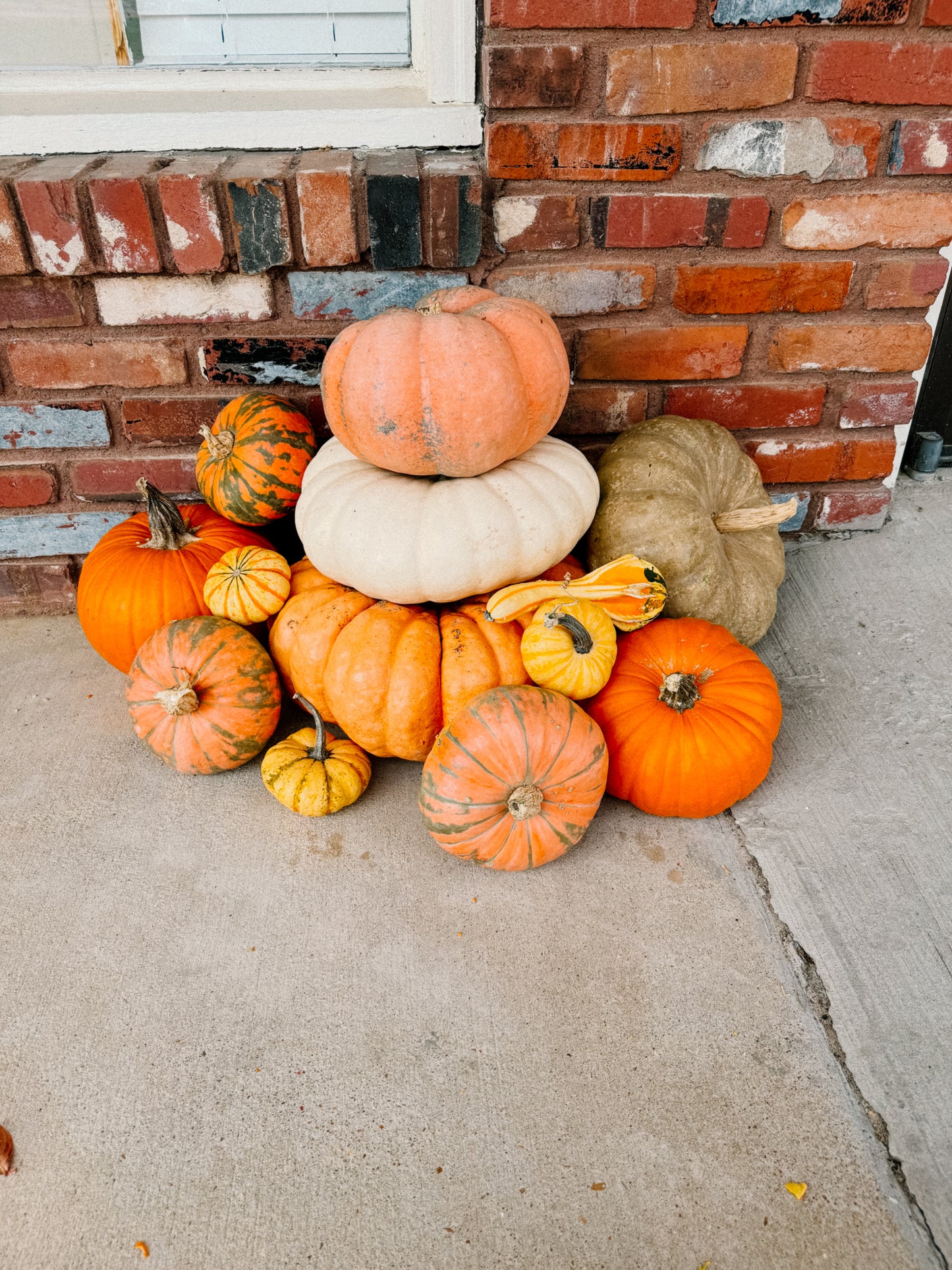 Classic Pumpkin Package