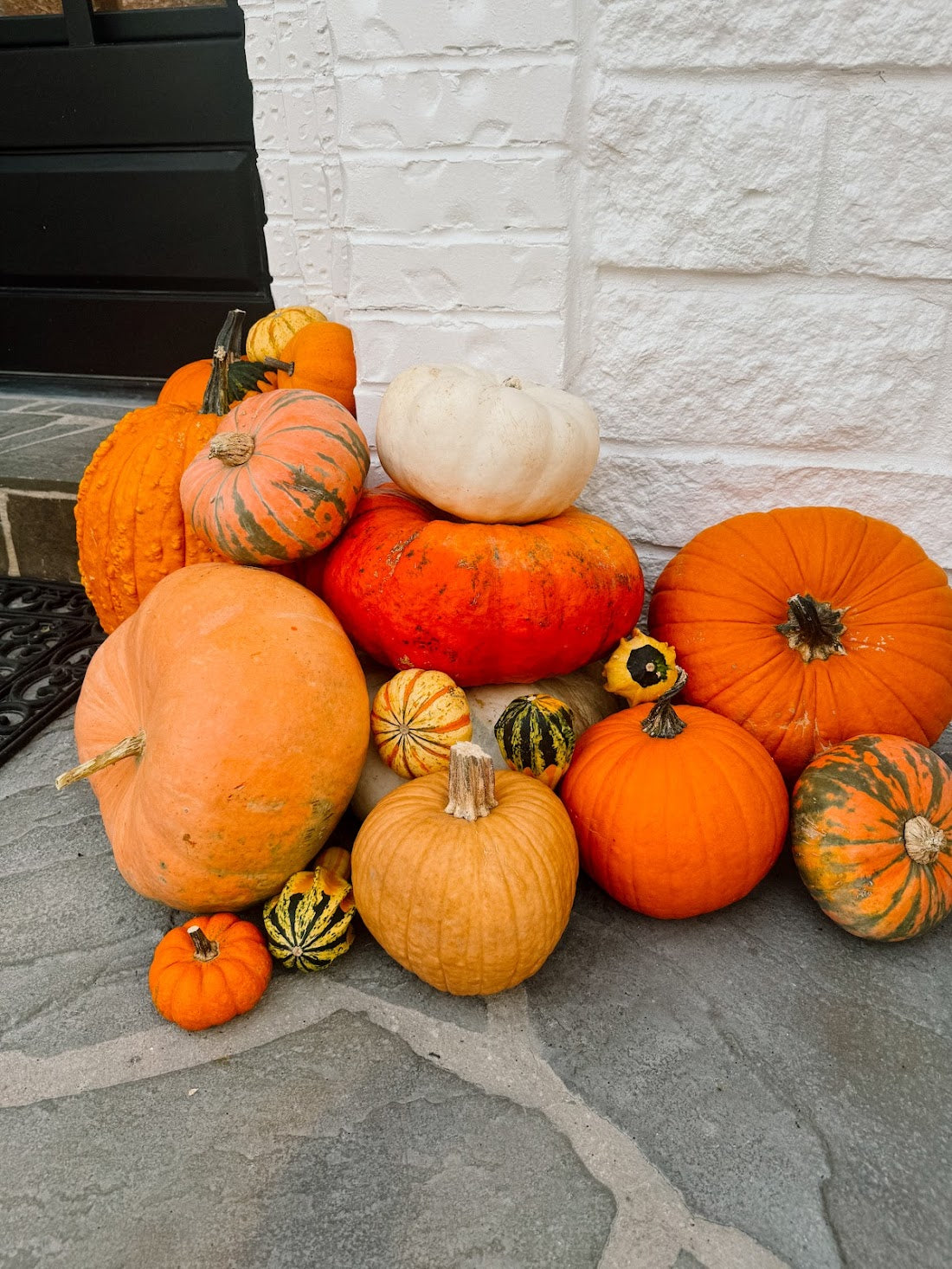 Mini Pumpkin Package