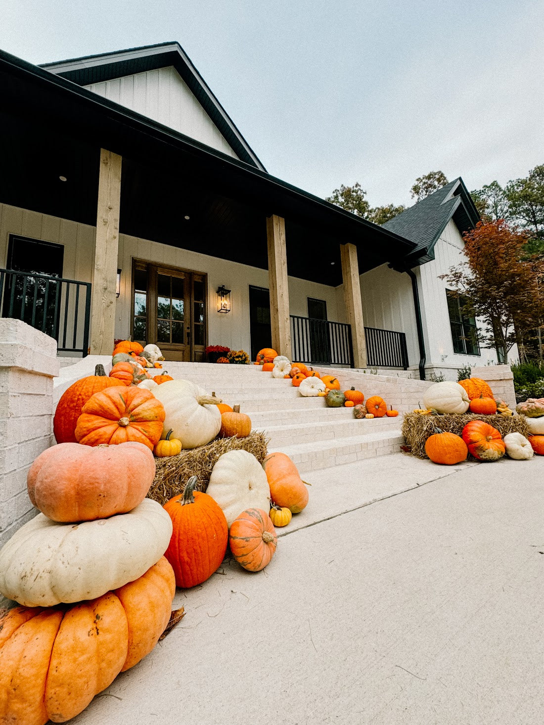Grand Prize Pumpkin Package
