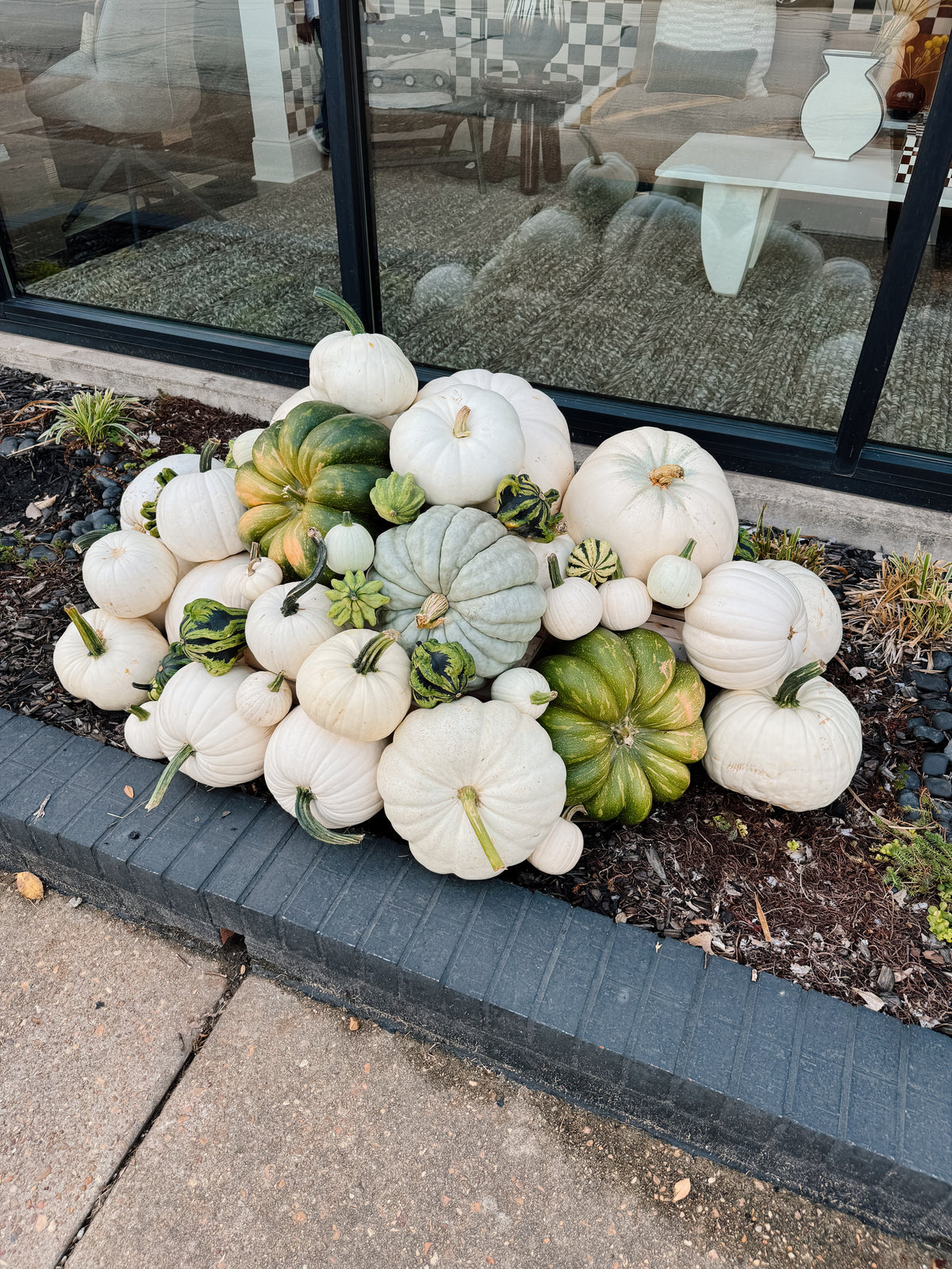 Grand Prize Pumpkin Package