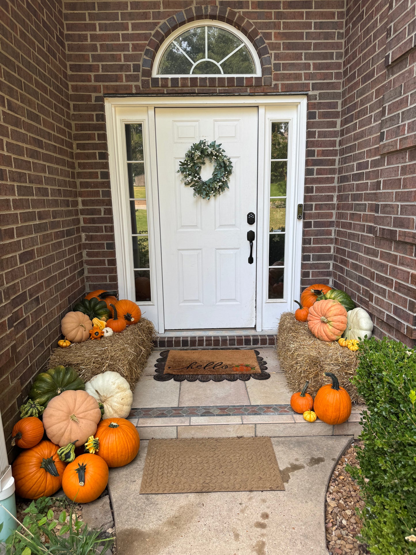 Mini Pumpkin Package