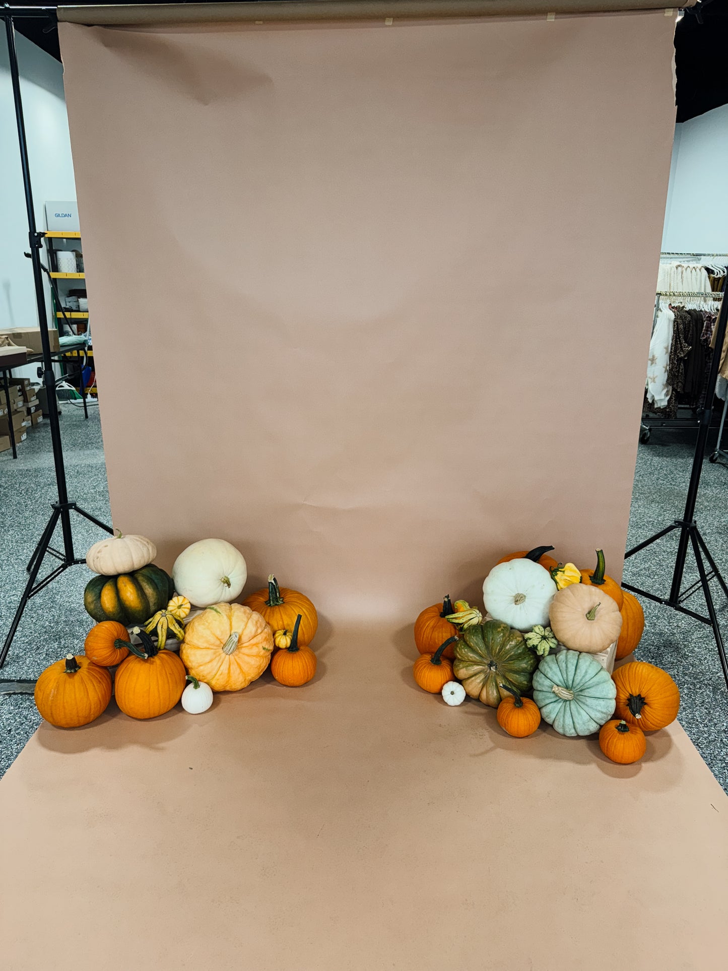 Mini Pumpkin Package