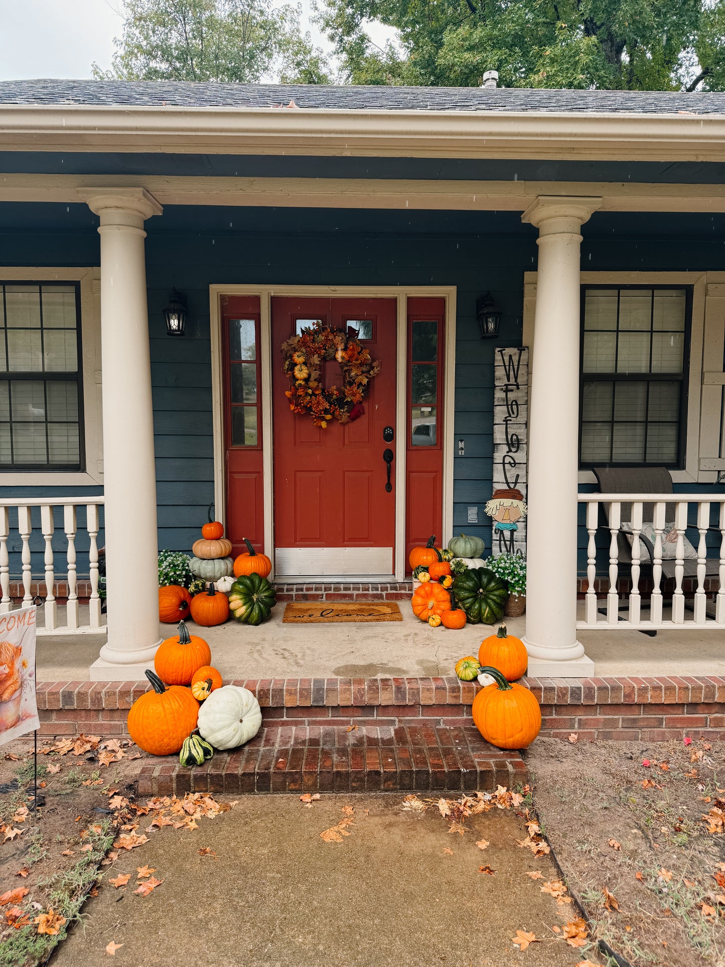 Mini Pumpkin Package