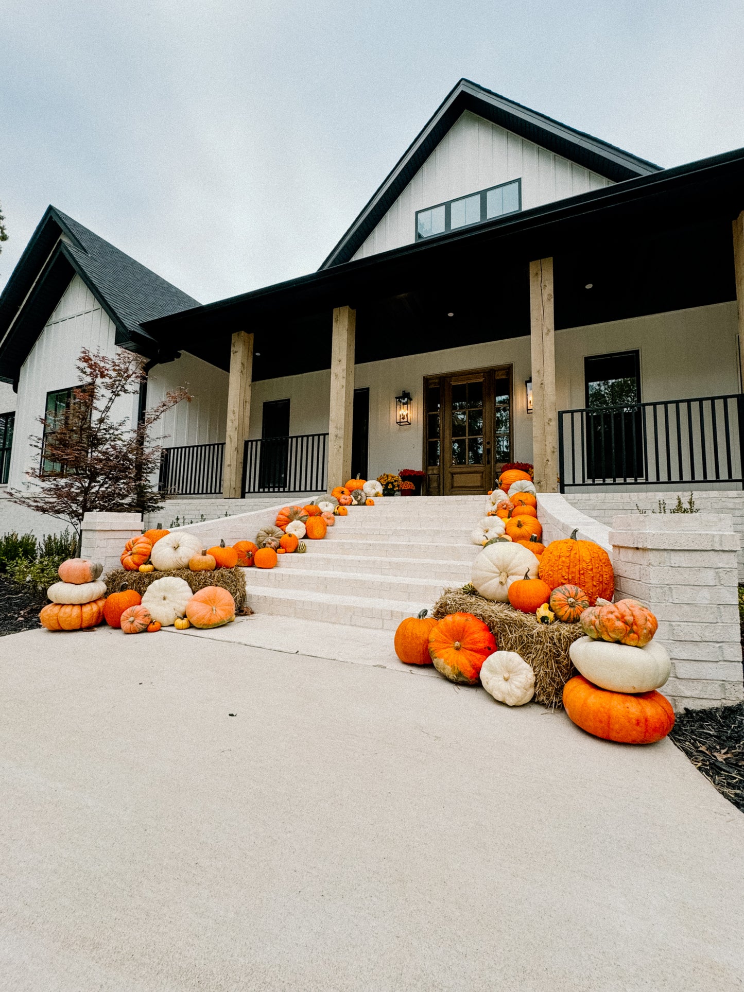 Grand Prize Pumpkin Package