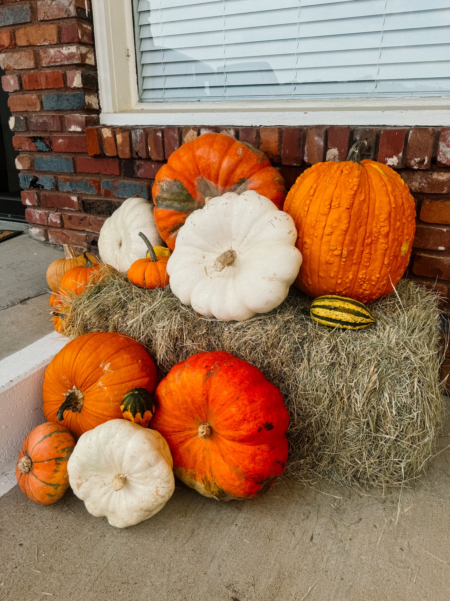 Classic Pumpkin Package